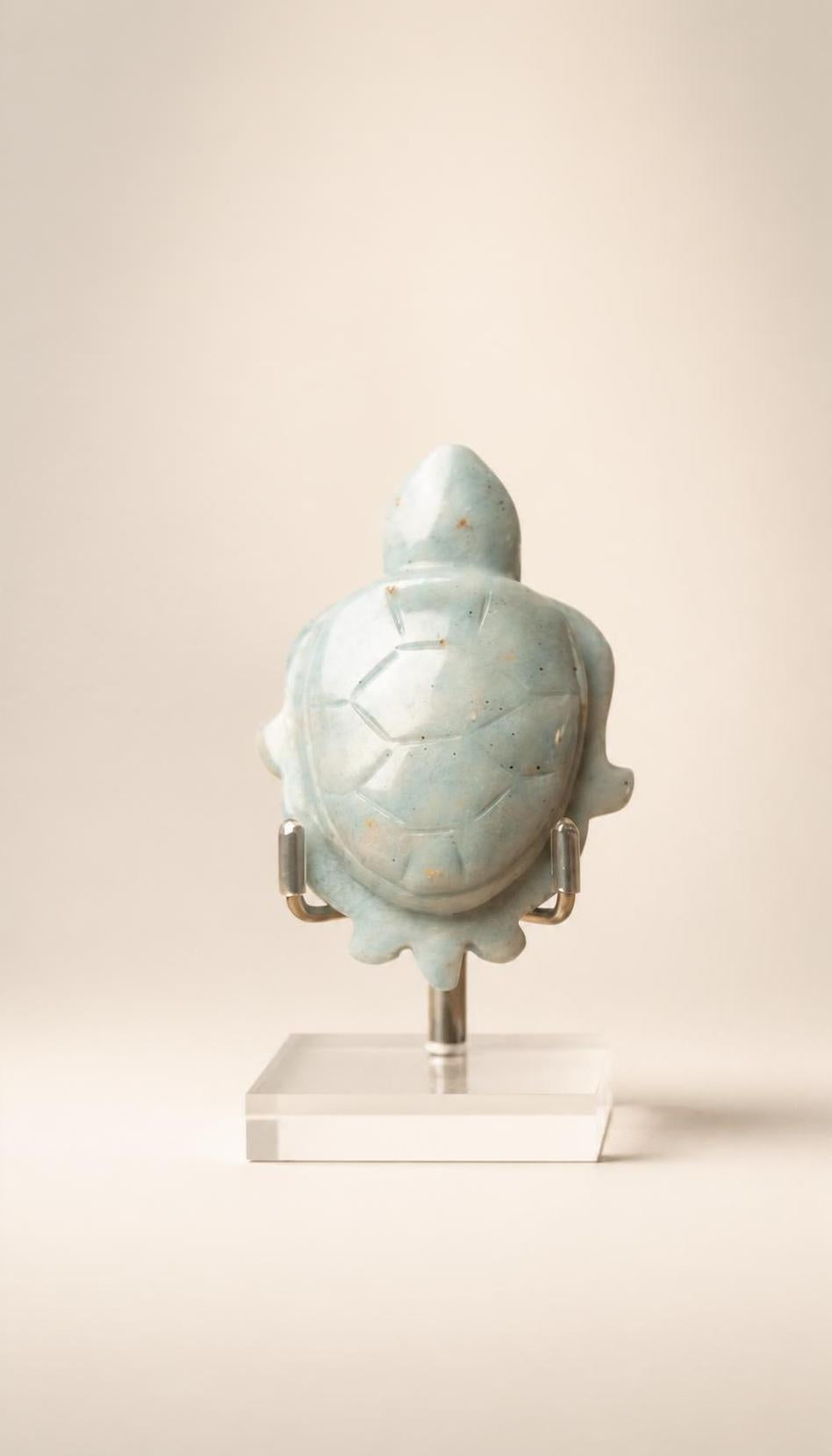 Troilite Turtle – Carving – 101g
