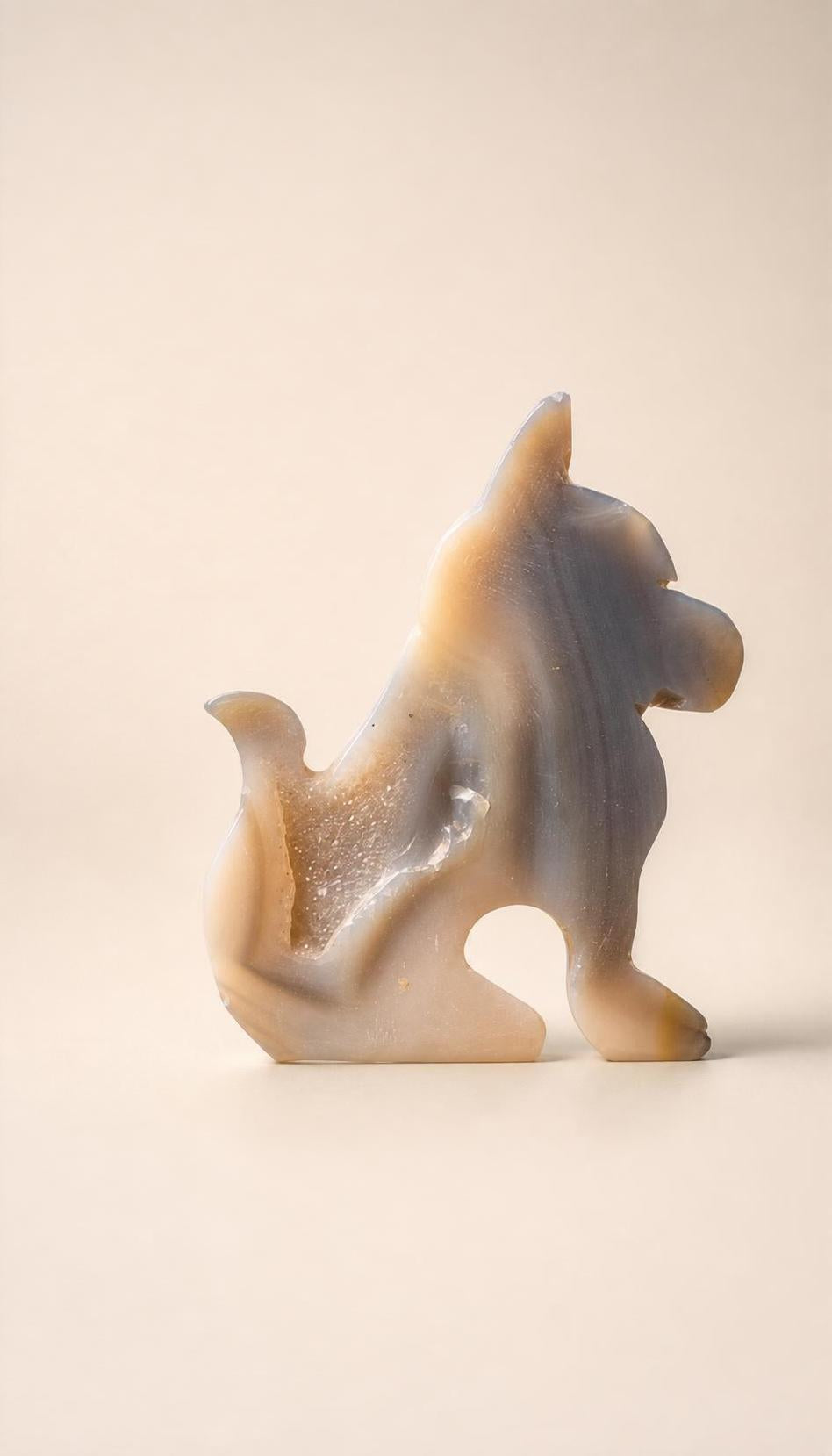 Druzy Agate – Dog – 196g