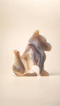 Druzy Agate – Dog – 154g