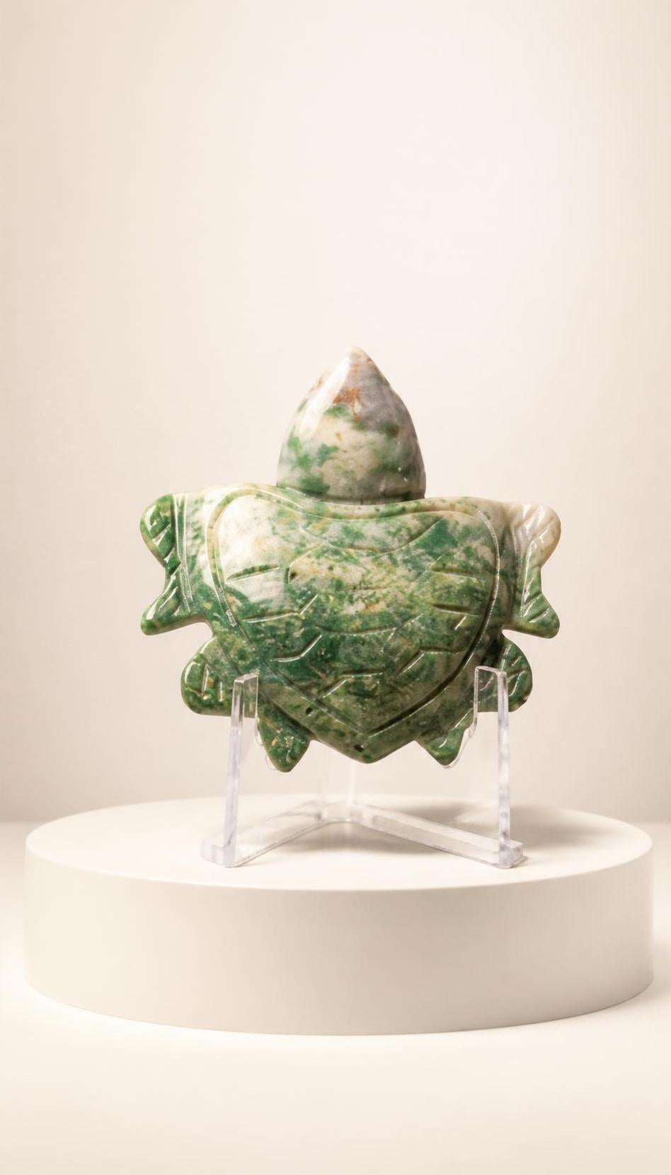 Ocean Jasper Turtle – Carving – 24g