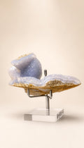 Blue Lace Agate – Freeform – 249g