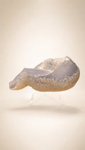 Blue Chalcedony – Polished Freeform Specimen – 218g