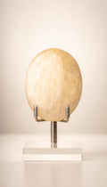 Creamy Moonstone – Palm Stone – 103g