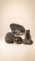 Petrified Wood – Raw Stone – 110g
