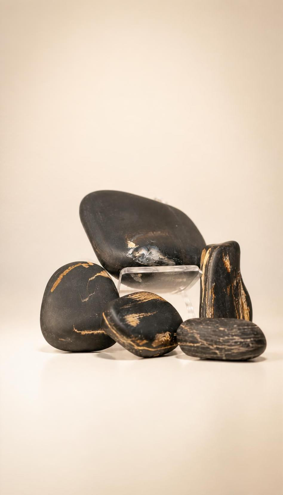 Petrified Wood – Raw Stone – 110g