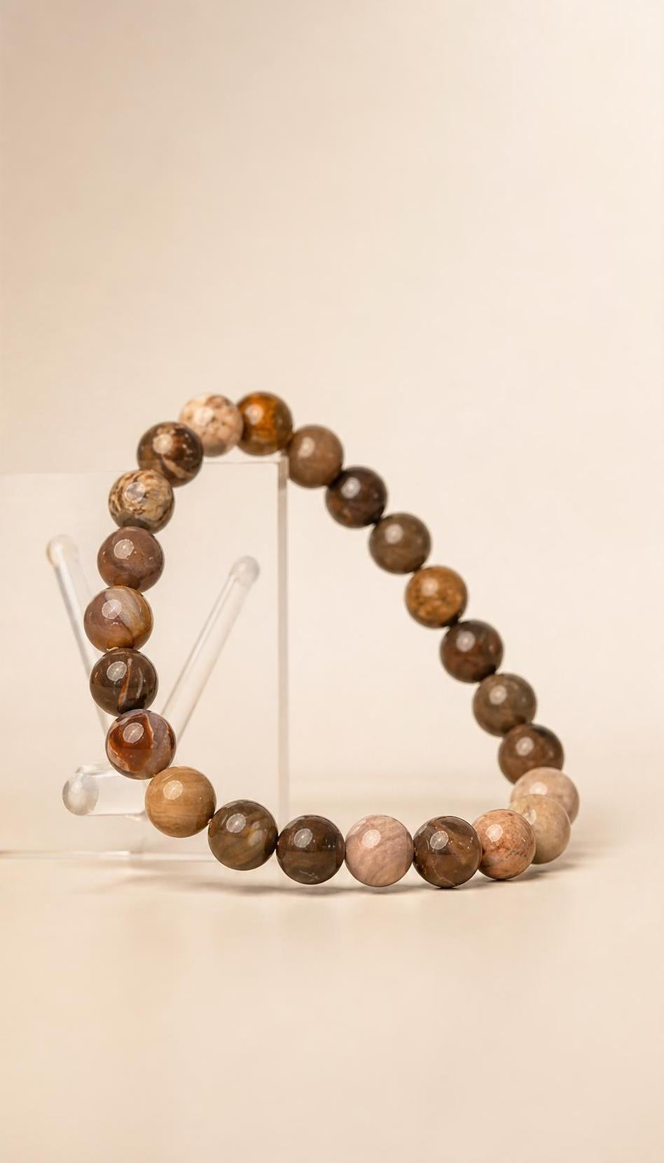 Petrified Wood – Bracelet – 17g