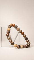 Petrified Wood – Bracelet – 17g