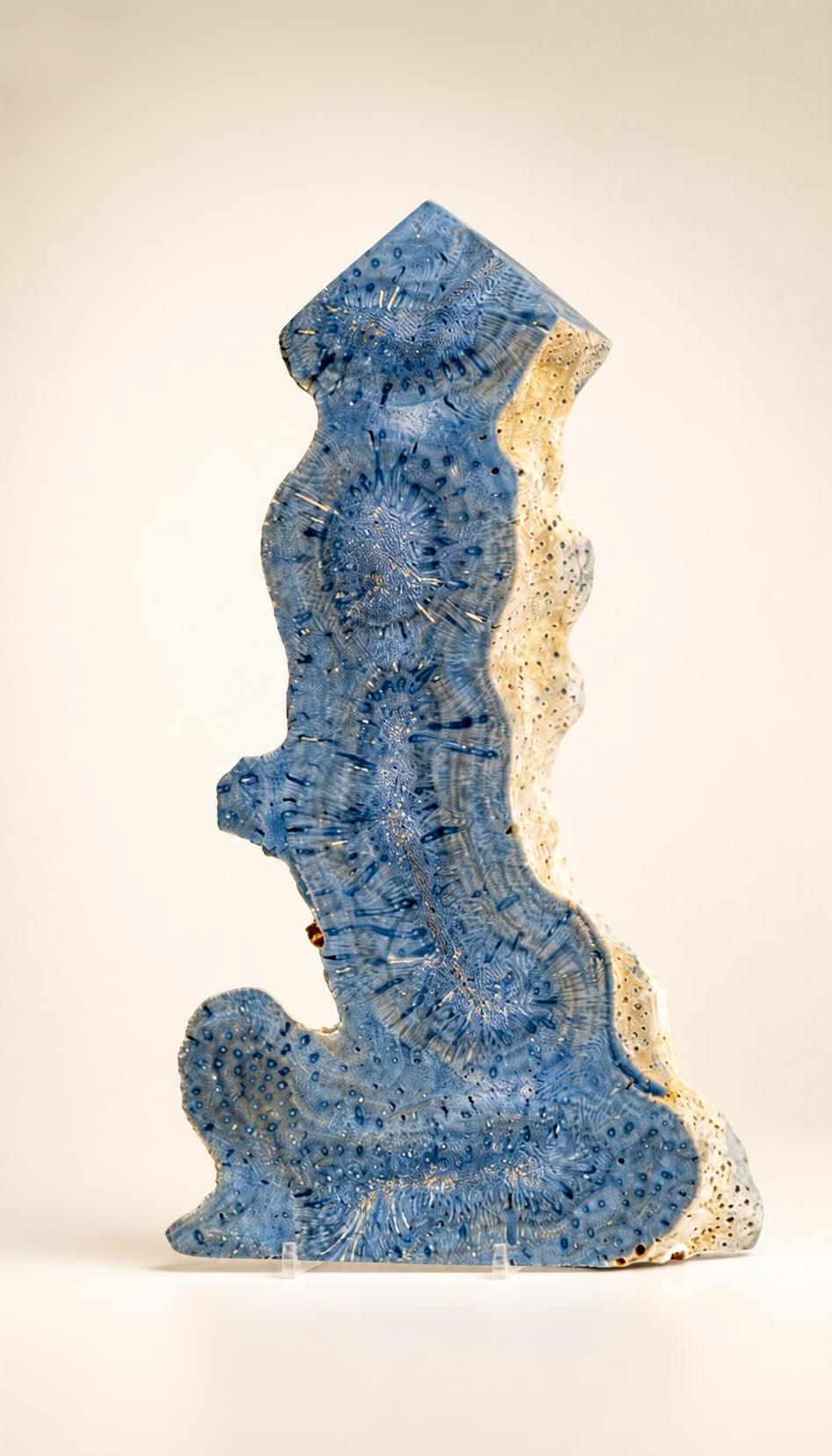 Blue Ridge Coral (Heliopora coerulea) – Tower – 88g