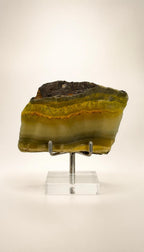 Bumble Bee Jasper – Slab – 181g