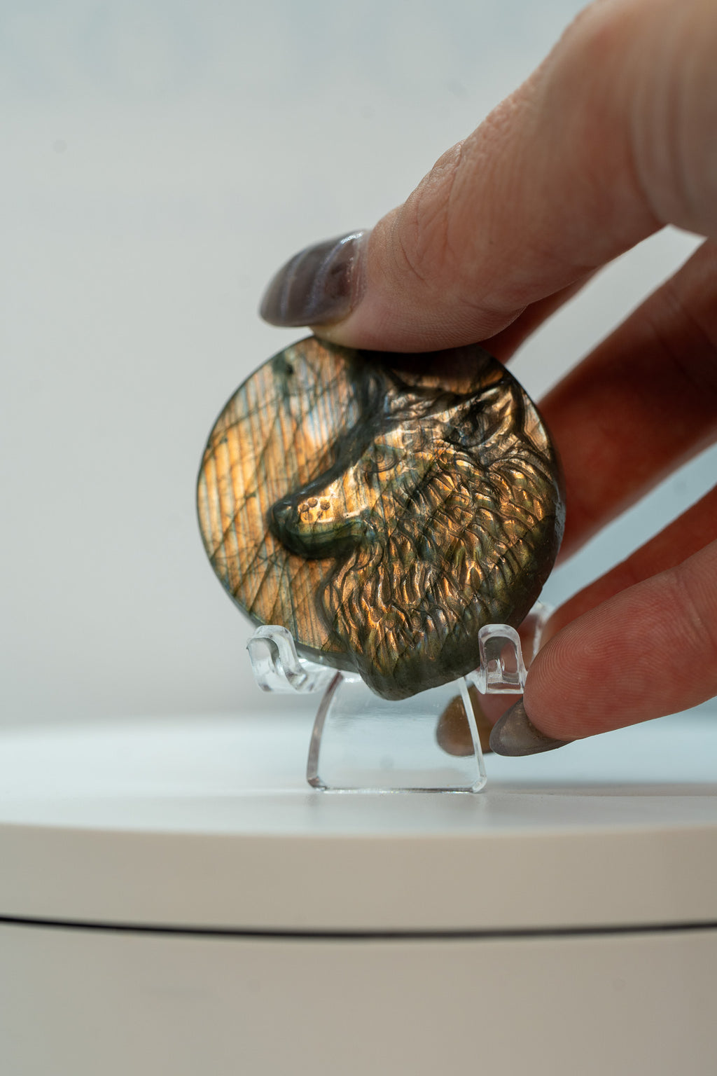 Labradorite Wolf's Head – 14g